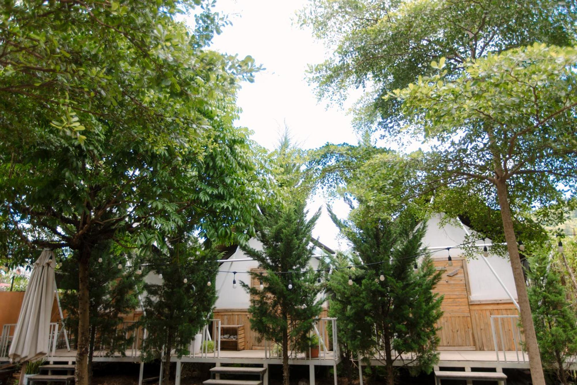 The November - Moc Chau Apartment Bagian luar foto